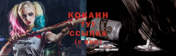 мдпв Гусь-Хрустальный