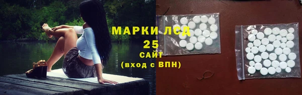 мдпв Гусь-Хрустальный