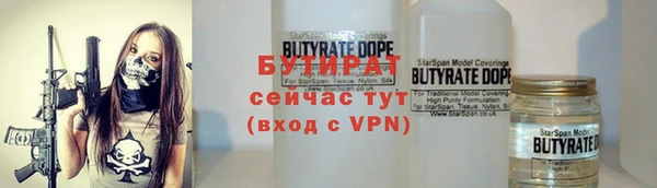 мдпв Гусь-Хрустальный