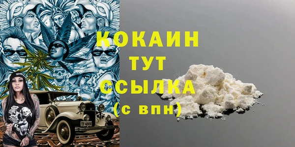 мдпв Гусь-Хрустальный