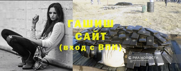 мдпв Гусь-Хрустальный